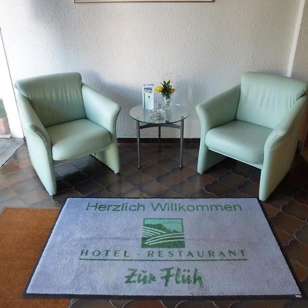 Hotel Zur Flueh Bad Säckingen Exterior foto